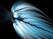 fractal abstract