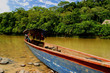 canoe in rainforest