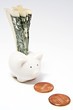 piggy bank and dollar bill