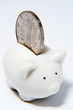 piggy bank and  chinese coin
