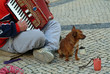 beggar producing music in street