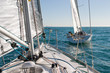 sailboat race