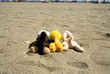 strand