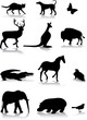animal silhouettes