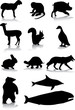 animal silhouettes