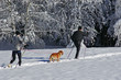 skieurs de fond