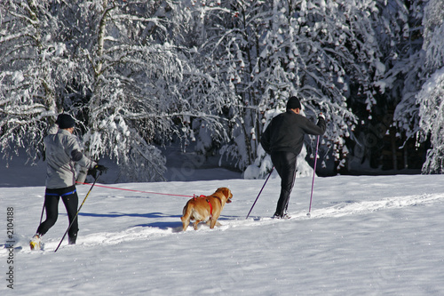 skieurs de fond