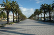 paseo
