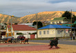 puerto natales