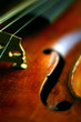 violin