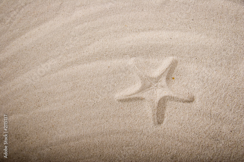 Foto: shell shell