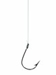 fish hook and line