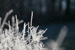 givre14