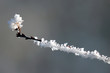 givre12
