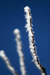 givre08
