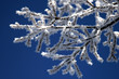 givre07