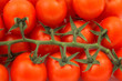 pomodori