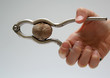 kinderhand mit nussknacker