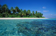 Photographie : ari atoll, maldive