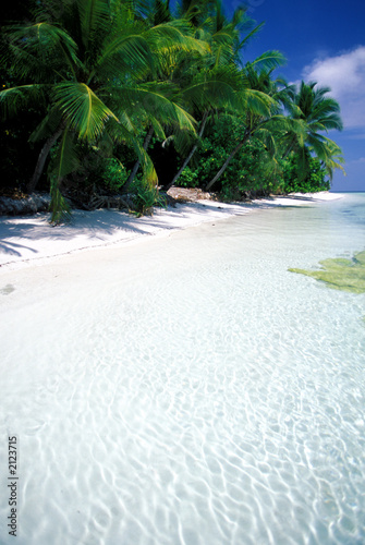 Leinwandbild Motiv atollo delle maldive