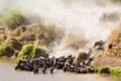 wildebeest migration river crossing