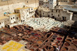 tannerie fés