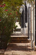alamos