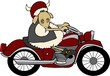 sheepy rider