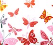 butterflies - vector