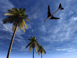 Leinwandbild Motiv plane flying 24