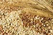 cereali