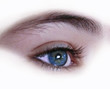yeux bleu
