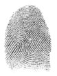 fingerabdruck