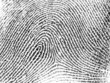 fingerabdruck