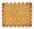 biscuit biscuit