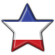 bottone stella olandese - holland button star flag