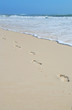 footprints on beach