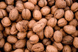 walnut iv