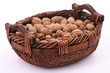 walnut iii
