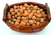 walnut ii