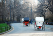 central park horse carriages