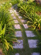 cobbled stone pathway