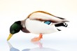 ente auf den gefrorenen teich