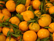 mandarine mandarine