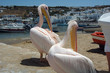 mykonos