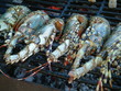 langoustes grillées
