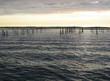 mer 2