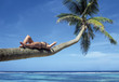 Foto: beach beach