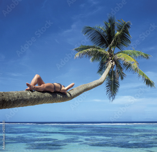 Foto: beach beach