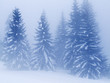 neige082